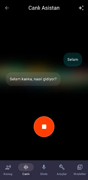 MobAI Voice: Canlı AI Asistan Screenshot 1