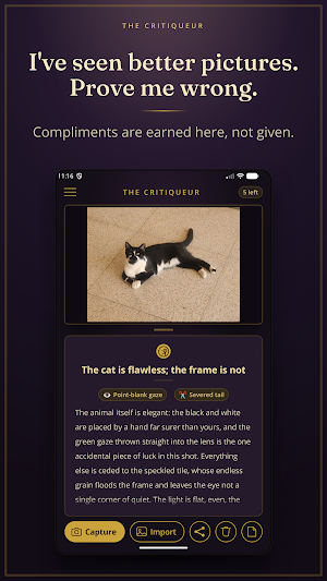 The Critiqueur - Get Judged Screenshot 0