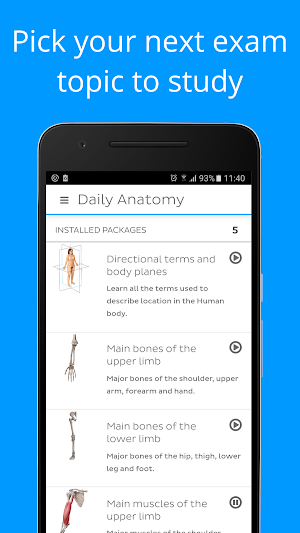 Daily Anatomy: Flashcard Quizzes to Learn Anatomy Screenshot 0