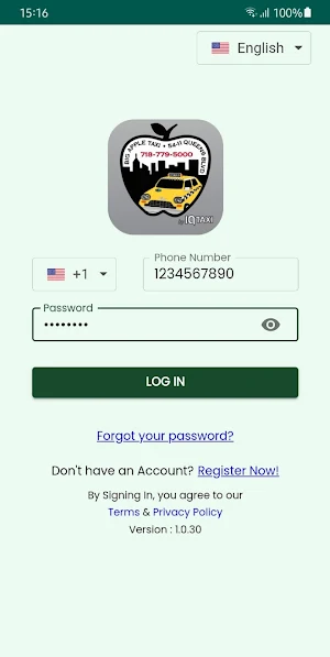 Big Apple Taxi Screenshot 2