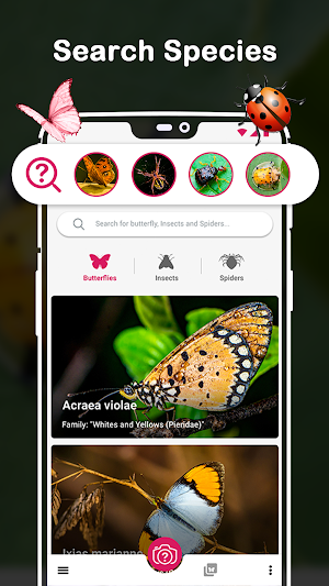 Insect Identifier : Insect ID, AI Photo Camera Screenshot 2
