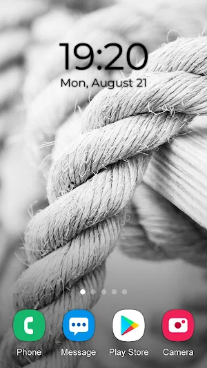 White Wallpaper 2023 Screenshot 3