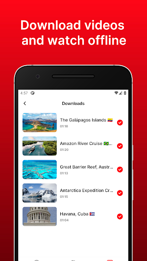Net-Trips Screenshot 1