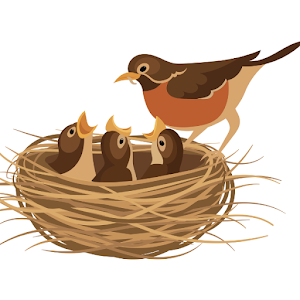 Baby Animal Wallpapers Screenshot 0