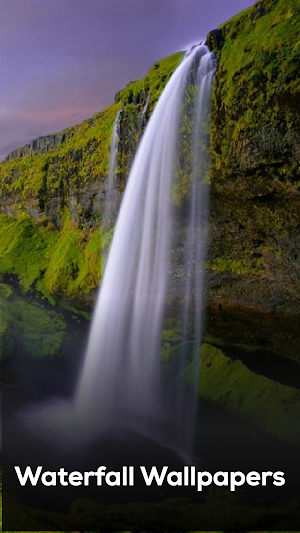 Nature Wallpapers 2021 Screenshot 0