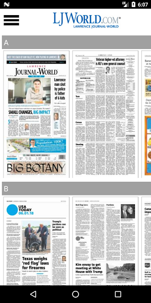 Journal-World e-Edition Screenshot 2