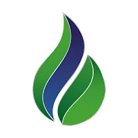 Americas LNG & Gas 2021