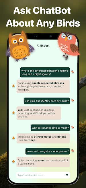 Bird Identifier: Bird Sound ID Screenshot 3