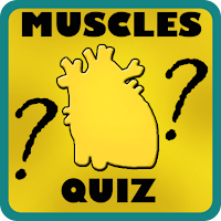 Muscles Quiz