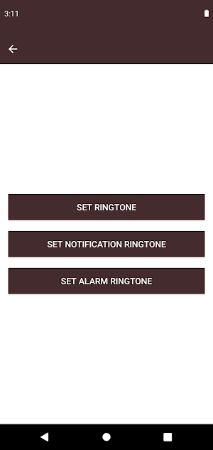 Punjabi Ringtones Screenshot 2