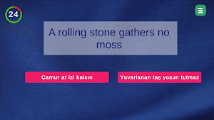 İngilizce Atasözü Deyimler Screenshot 1