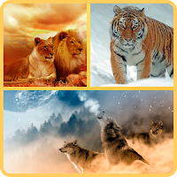 Animals Wallpaper - Images