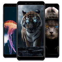 Animal Wallpaper