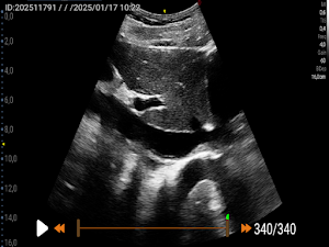 MyLabPocket Screenshot 2