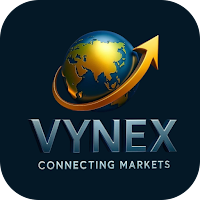 vynex imports and exports