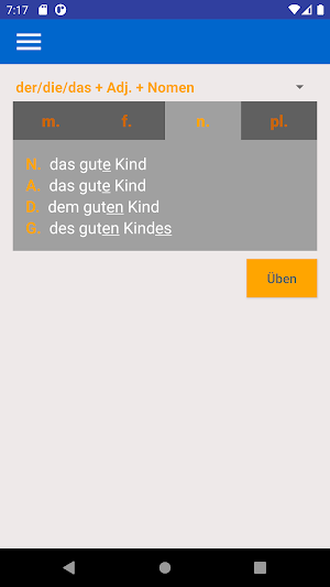 German Adjective Endings Screenshot 1