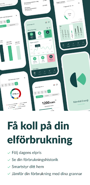 Kärnfull Energi Screenshot 0