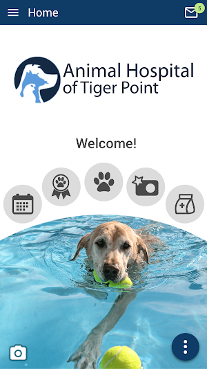 Tiger Point Vet Screenshot 0