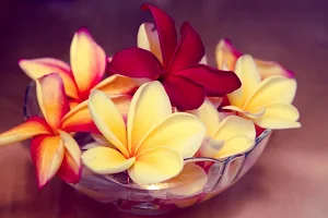Plumeria Flower Wallpapers Screenshot 0
