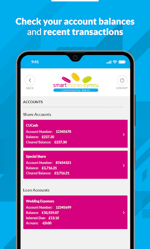 Smart Money Cymru Screenshot 1
