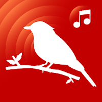 bird ringtones for phone, bird sounds ringtones