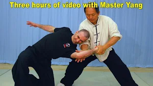 Tai Chi Martial Applications Screenshot 0