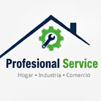 ProfesionalService