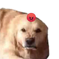 Dogs Stickers for WhatsApp