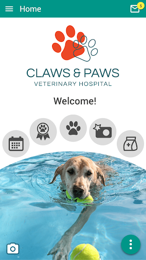 Claws & Paws Vet Hospital Screenshot 0