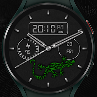 W-Design WOS110 - Watch Face