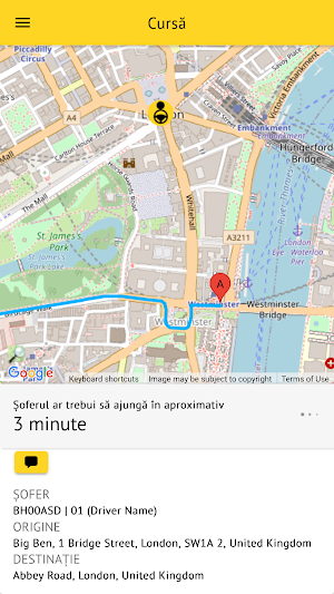 Taxi AME Curtea de Arges Screenshot 2