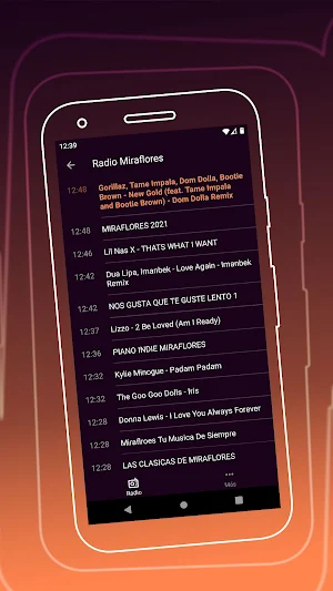 Miraflores.pe Screenshot 2