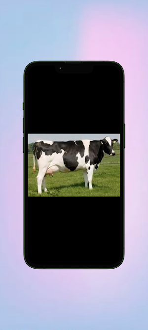 Sapi WalL Screenshot 1