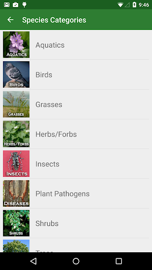 NJ Invasives Screenshot 2