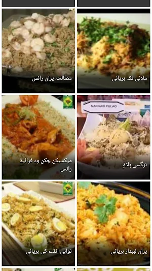 Biryani Recipes in Urdu Screenshot 0