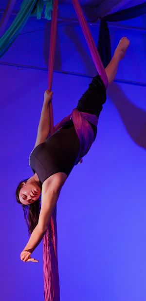 Momentum Aerial Screenshot 0