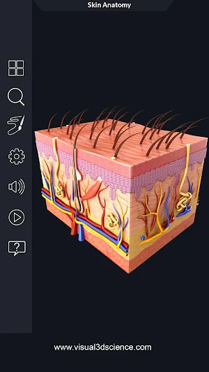 Skin Anatomy Pro. Screenshot 1