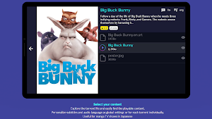 Torrentium TV - Stream and manage torrents Screenshot 1