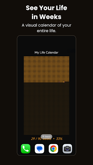 Life Calendar: Life in Weeks Screenshot 0