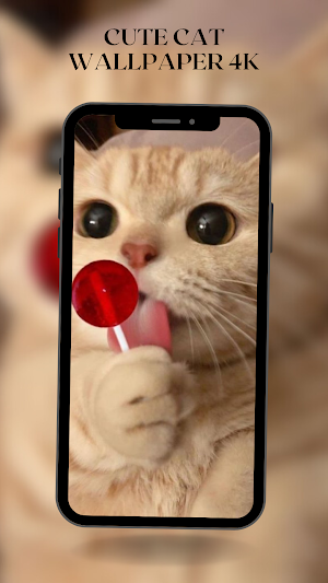Cute Cat Wallpaper HD 4K Screenshot 3