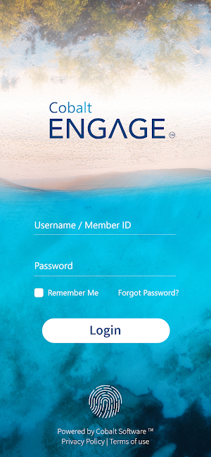 CobaltENGAGE Screenshot 0