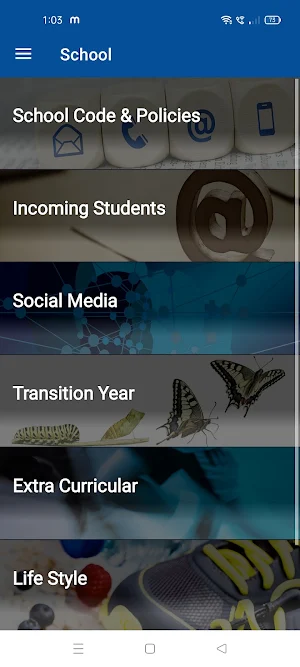 Coláiste Éamann Rís,cork Screenshot 1