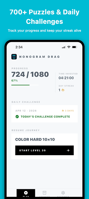 Nonogram Drag Screenshot 3
