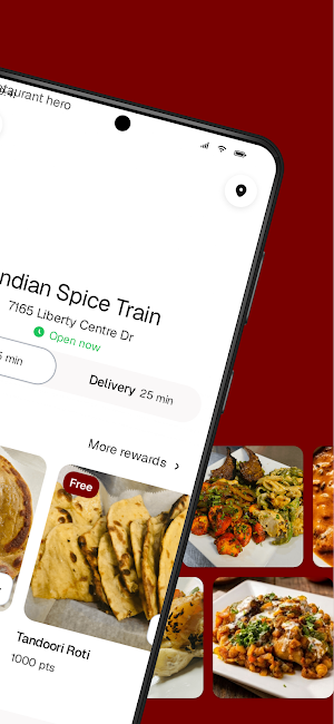 Indian Spice Train Screenshot 1