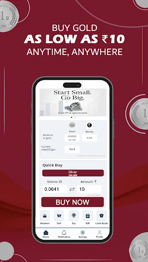 SILVER PALACE Screenshot 1