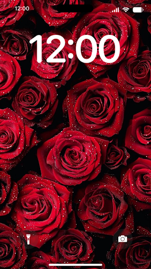 HD Red Rose Live Wallpaper Screenshot 3