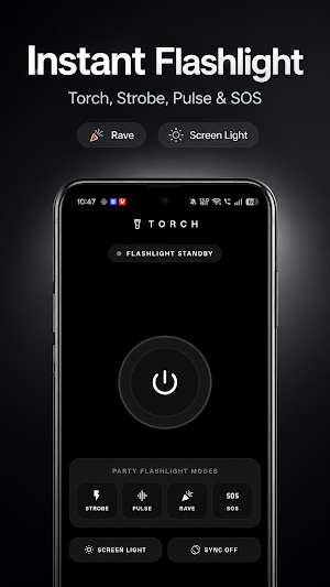 Torch - Premium Screenshot 0