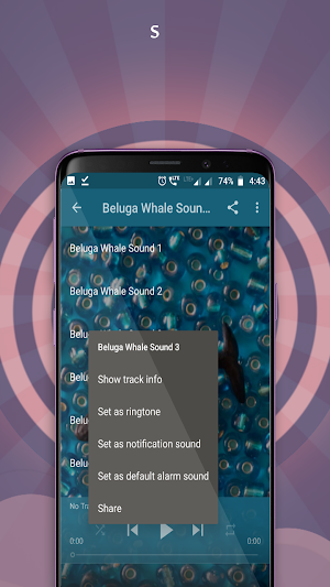Beluga Whale Sounds Screenshot 2