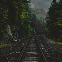 BookTrainOnline2