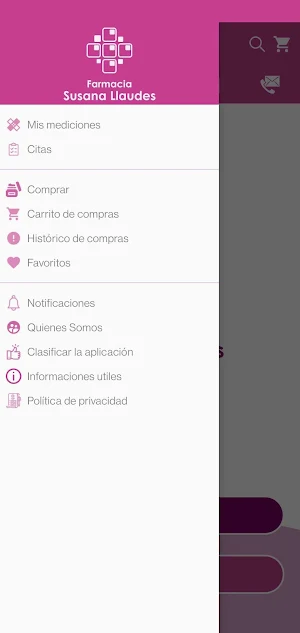 Parafarmacia Susana Llaudes Screenshot 2